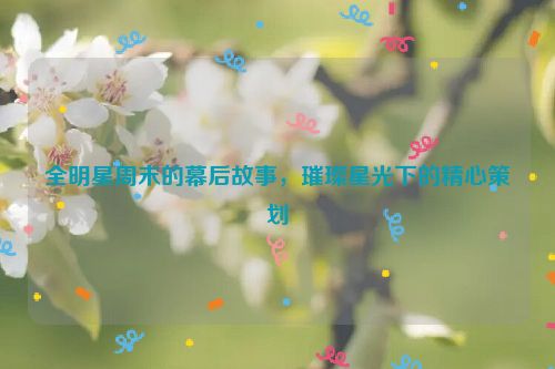 全明星周末的幕后故事，璀璨星光下的精心策划