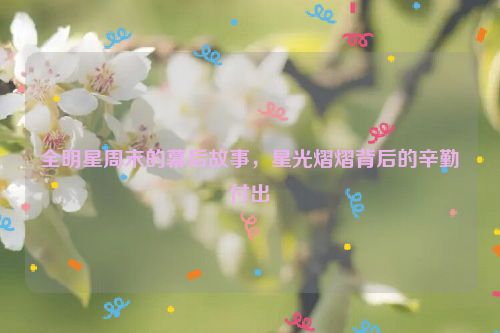 全明星周末的幕后故事，星光熠熠背后的辛勤付出