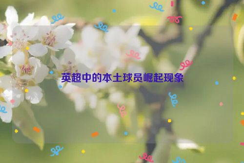 英超中的本土球员崛起现象