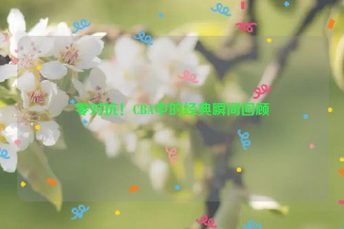 零对抗！CBA中的经典瞬间回顾