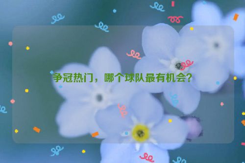 争冠热门，哪个球队最有机会？