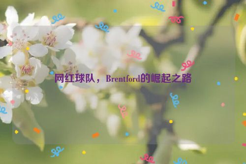 网红球队，Brentford的崛起之路