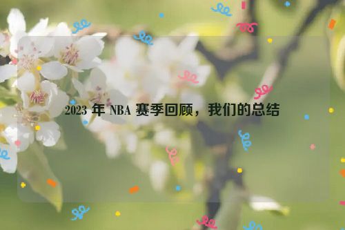 2023 年 NBA 赛季回顾，我们的总结