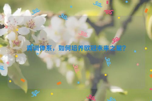 青训体系，如何培养欧冠未来之星？