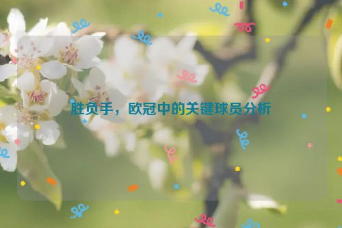 胜负手，欧冠中的关键球员分析